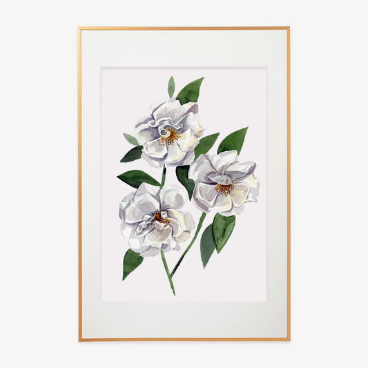 White Rose Watercolor Print