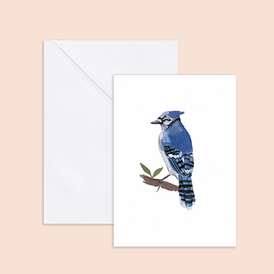 Blue Jay Bird Notecard