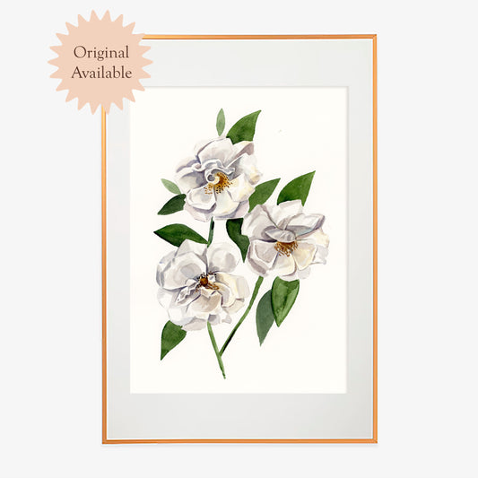 White Rose Watercolor Print